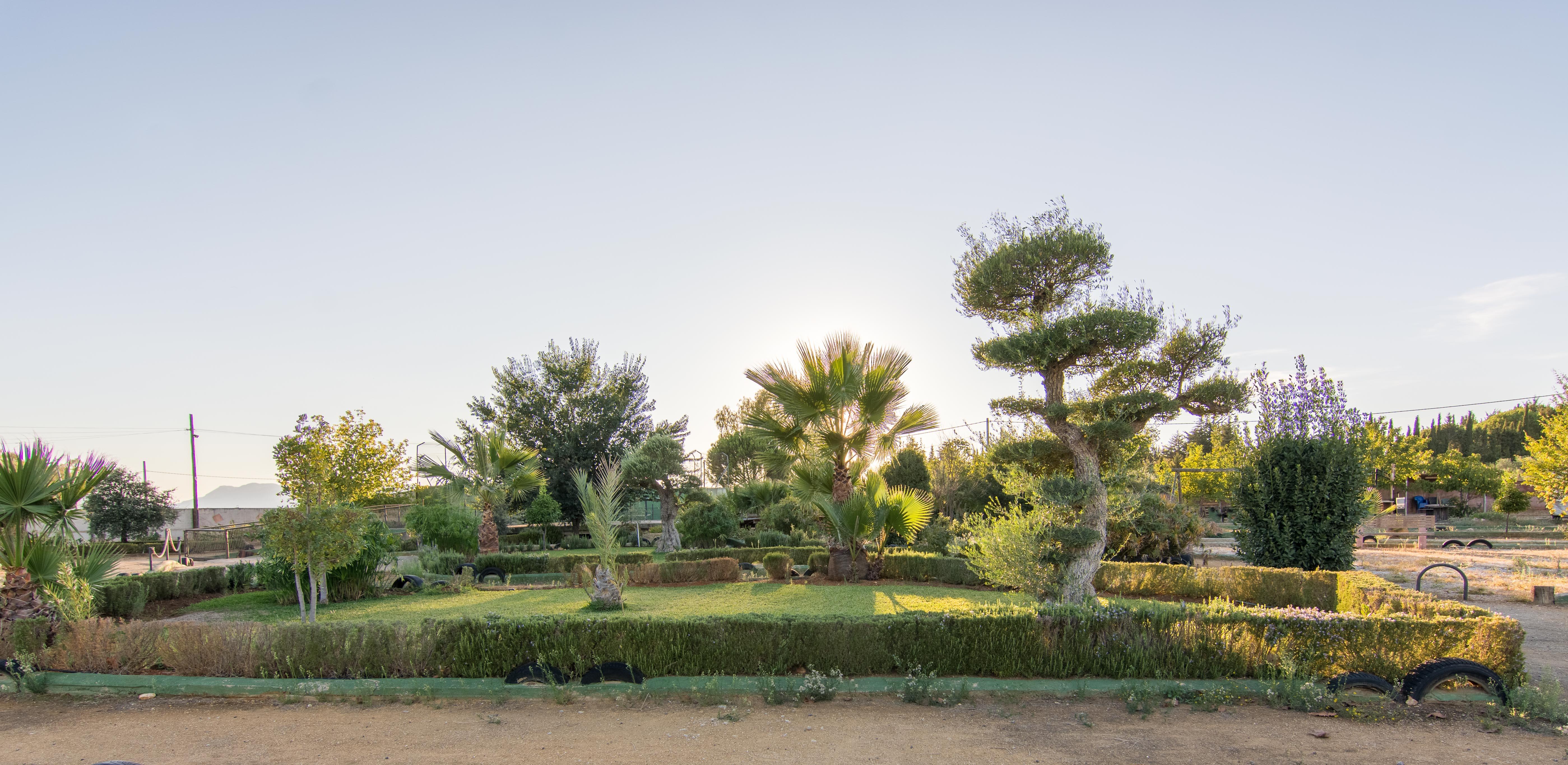 Hotel Rural El Cortijo Ρόντα Εξωτερικό φωτογραφία