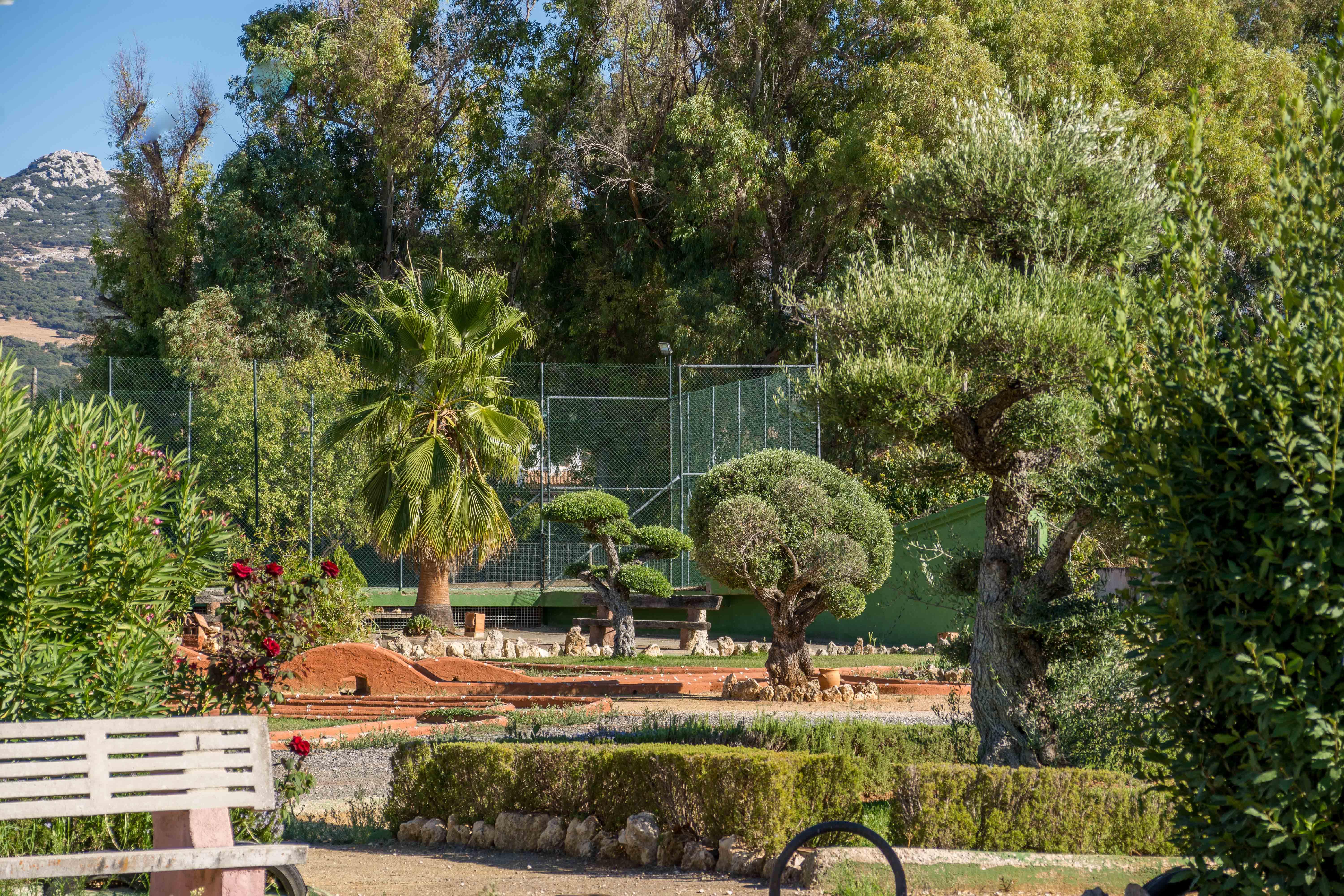 Hotel Rural El Cortijo Ρόντα Εξωτερικό φωτογραφία